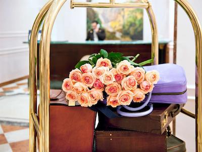 سوفیتل رما ویلا بورگسه