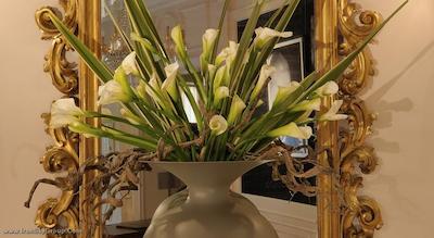 سوفیتل رما ویلا بورگسه