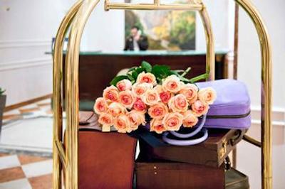 سوفیتل رما ویلا بورگسه