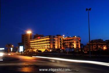 گلدن تولیپ گالریا