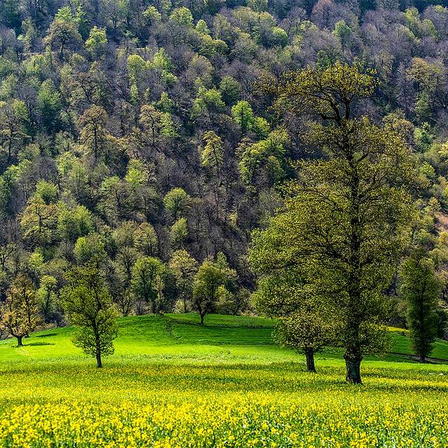 بهترین زمان سفر به ساری