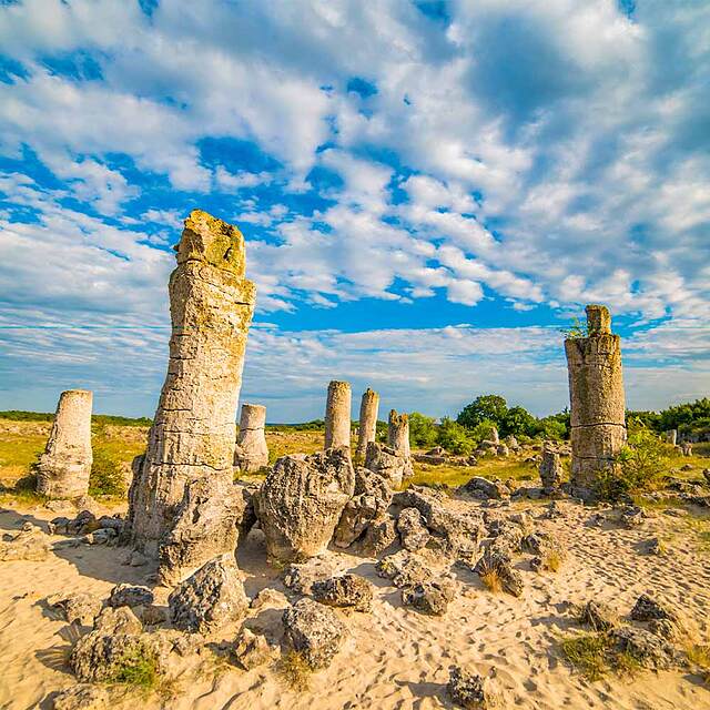 جنگل سنگی | Stone Forest