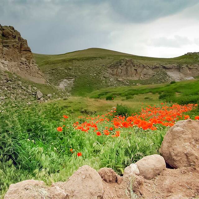 قوانین حمل بار در پرواز تهران به اردبیل