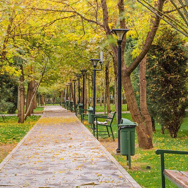 پذیرایی ترکیش ایرلاینز از استانبول به مشهد چگونه است؟